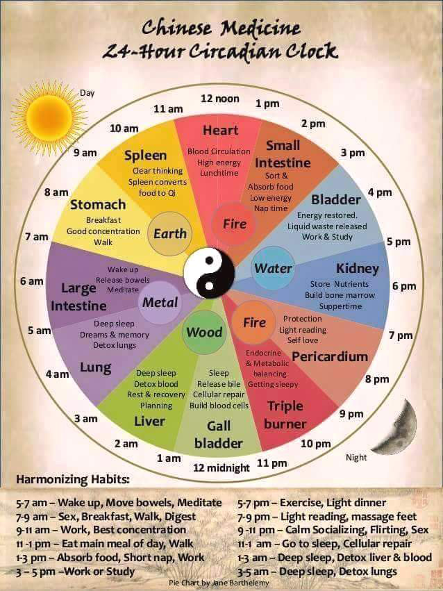 info circadian dial traditional