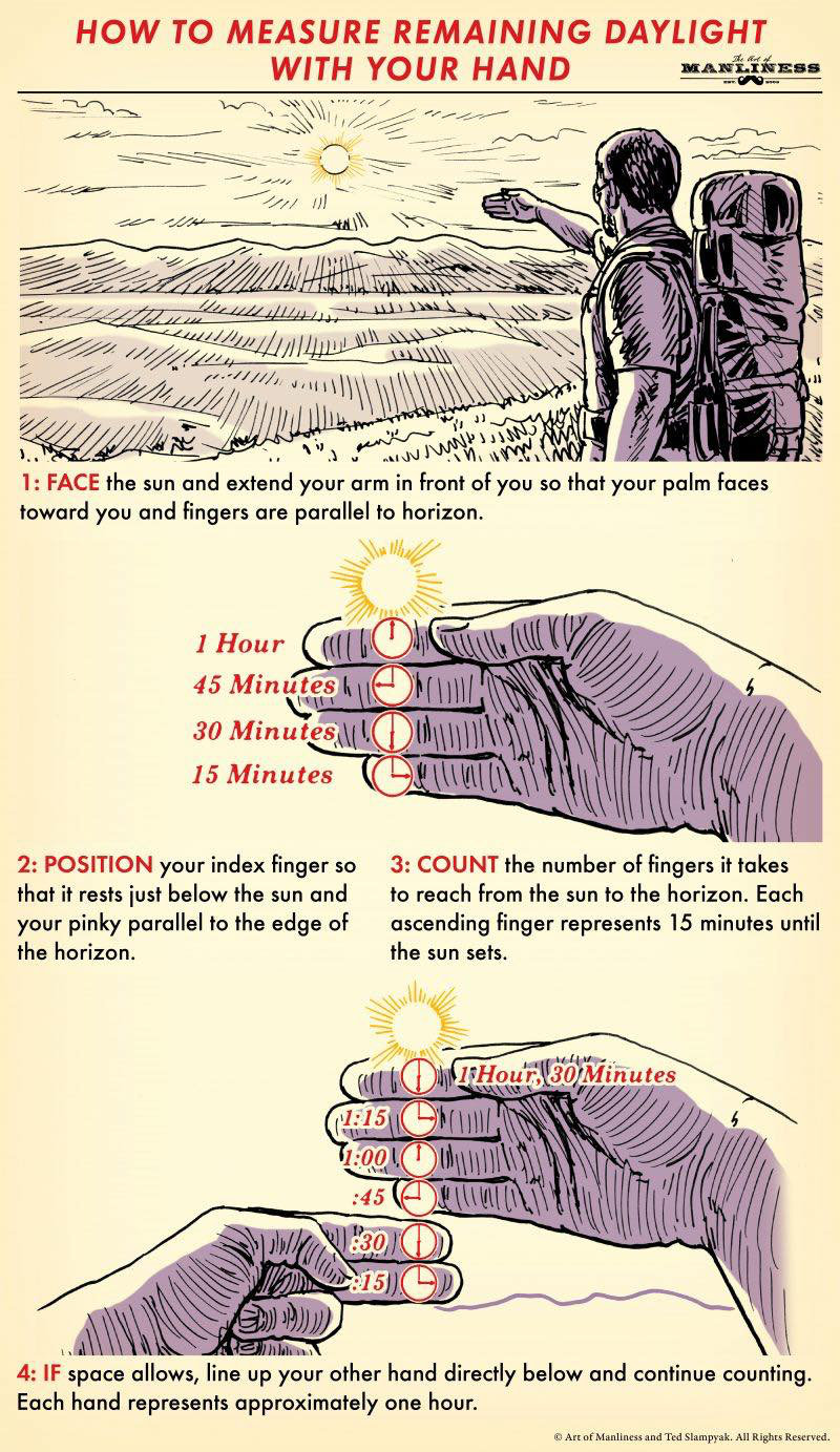 info field guide measure daylight hand