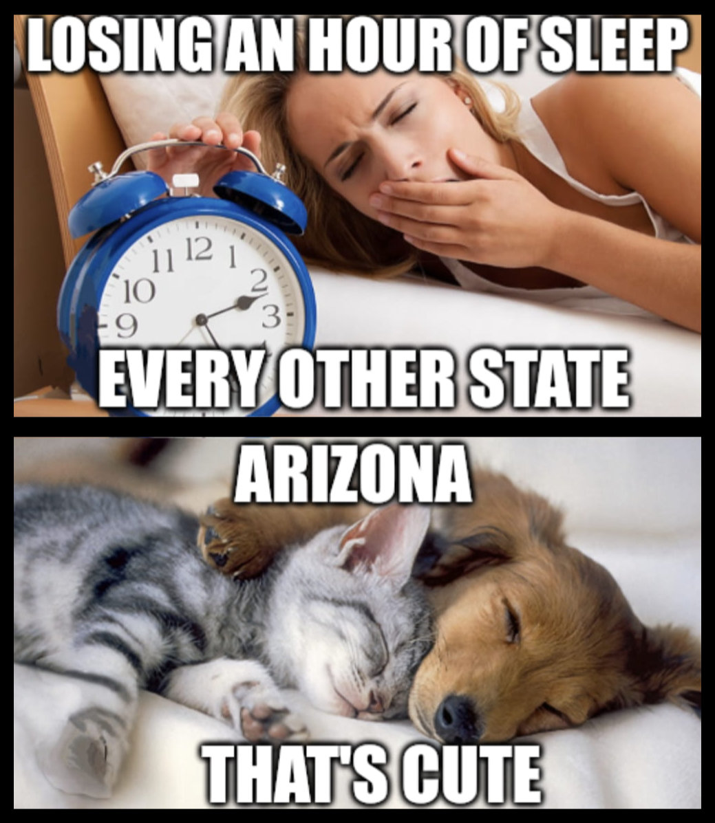 meme arizona losing hour sleep cute