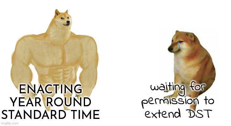 meme doge strong week pst pdst