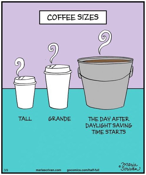 meme maria scrivan coffee sizes dst