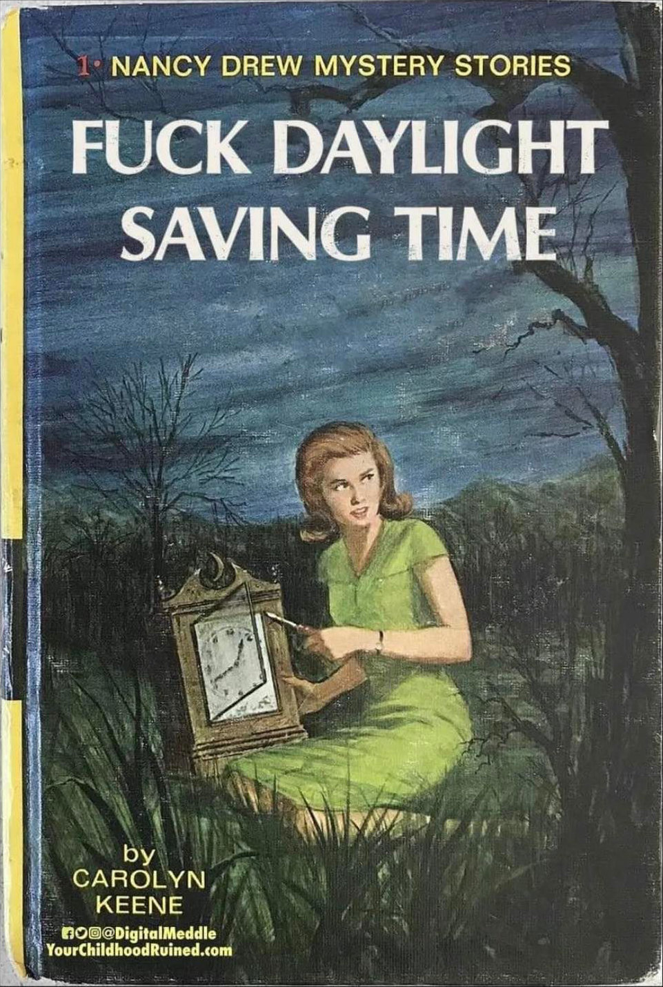 meme nancy drew dst